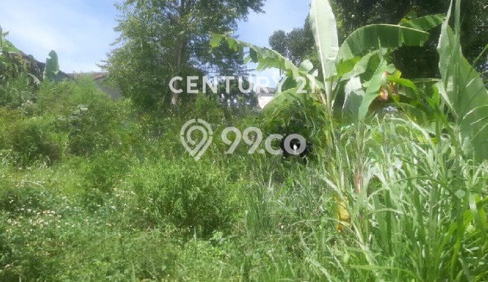 Tanah Kavling untuk Dijual di Cimenyan Bandung 1950m2 Tanah Kavling untuk Dijual di Cimenyan Bandung 1950m2
