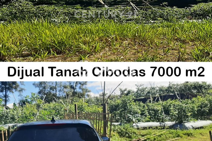 LOKASI STRATEGIS! Tanah Kawasan Lembang, Luas 7000m2m², Lokasi Potensial, Cocok untuk Investasi LOKASI STRATEGIS! Tanah Kawasan Lembang, Luas 7000m2m², Lokasi Potensial, Cocok untuk Investasi