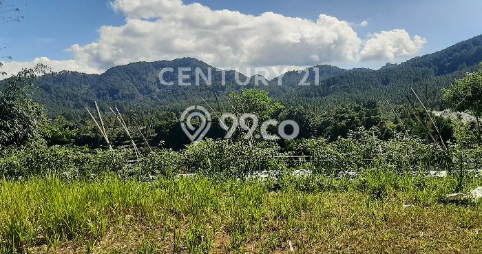 LOKASI STRATEGIS! Tanah Kawasan Lembang, Luas 7000m2m², Lokasi Potensial, Cocok untuk Investasi LOKASI STRATEGIS! Tanah Kawasan Lembang, Luas 7000m2m², Lokasi Potensial, Cocok untuk Investasi