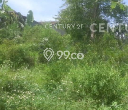 Tanah Kavling untuk Dijual di Cimenyan Bandung 1950m2 Tanah Kavling untuk Dijual di Cimenyan Bandung 1950m2