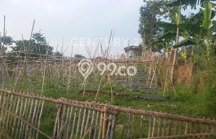 Dijual Tanah Kawasan Lembang, Luas 2345m², Akses Strategis Dijual Tanah Kawasan Lembang, Luas 2345m², Akses Strategis