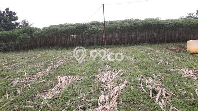 Untuk Dijual Tanah di Dramaga Bogor Luas 600m2 SHM Untuk Dijual Tanah di Dramaga Bogor Luas 600m2 SHM