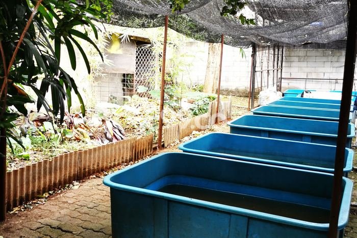 Tanah Kavling Dijual di Tanah Kusir, Jakarta Selatan dengan Luas Tanah 8272m2 Tanah Kavling Dijual di Tanah Kusir, Jakarta Selatan dengan Luas Tanah 8272m2