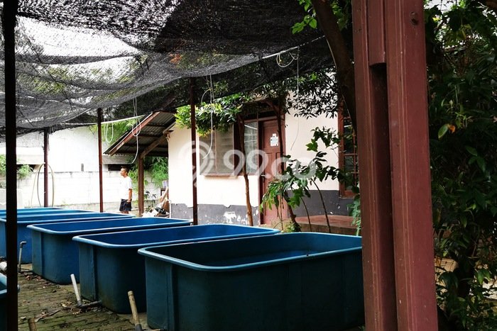 Tanah Kavling Dijual di Tanah Kusir, Jakarta Selatan dengan Luas Tanah 8272m2 Tanah Kavling Dijual di Tanah Kusir, Jakarta Selatan dengan Luas Tanah 8272m2