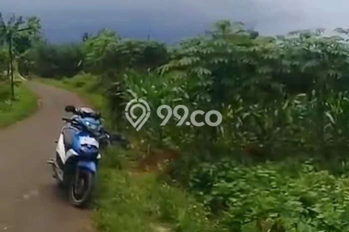 Kavling Tanah Dijual di Ciampea Bogor Spesifikasi 140000m2 Kavling Tanah Dijual di Ciampea Bogor Spesifikasi 140000m2