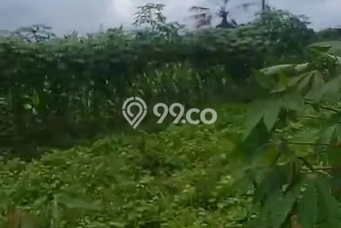 Kavling Tanah Dijual di Ciampea Bogor Spesifikasi 140000m2 Kavling Tanah Dijual di Ciampea Bogor Spesifikasi 140000m2