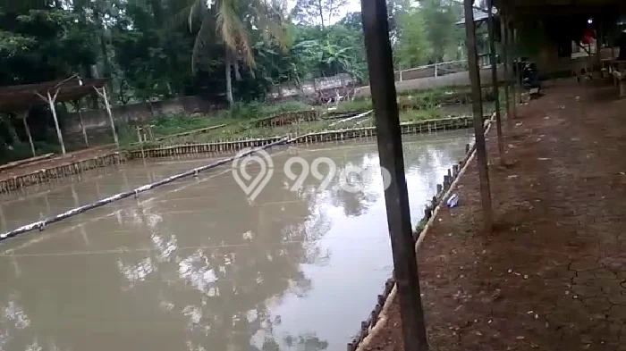 Tanah Kosong Dijual di Bogor dengan Area 1600m2 Tanah Kosong Dijual di Bogor dengan Area 1600m2