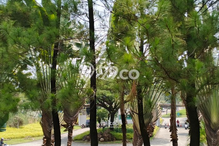 Dijual Tanah Lokasi Sentul City, Bogor Seluas 330m2 Dijual Tanah Lokasi Sentul City, Bogor Seluas 330m2