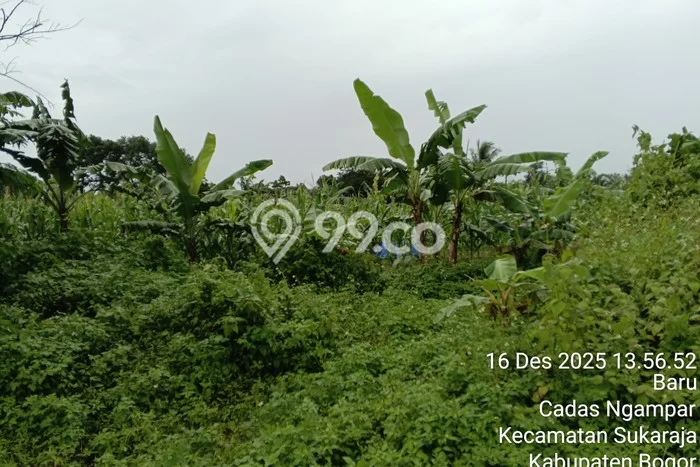 Kavling Tanah Dijual di Sukaraja Bogor Spesifikasi 1000m2 Kavling Tanah Dijual di Sukaraja Bogor Spesifikasi 1000m2