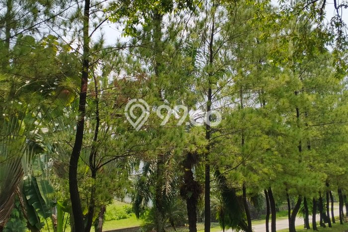 Dijual Tanah Lokasi Sentul City, Bogor Seluas 330m2 Dijual Tanah Lokasi Sentul City, Bogor Seluas 330m2