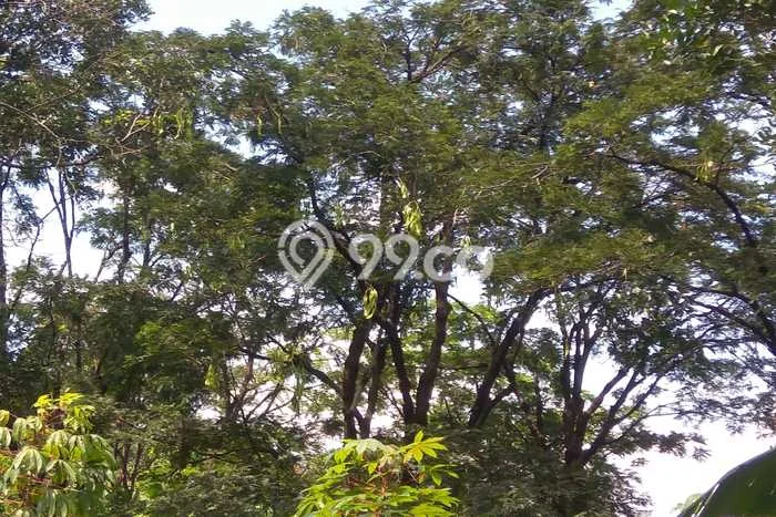 Dijual Tanah 3000m2 di Sentul City, Bogor Dijual Tanah 3000m2 di Sentul City, Bogor