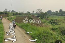 Tanah Kavling untuk Dijual di Dramaga Bogor 1800m2 Tanah Kavling untuk Dijual di Dramaga Bogor 1800m2