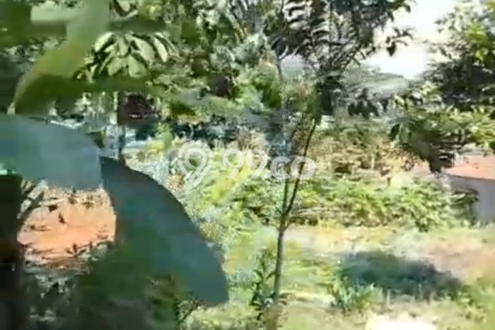 Tanah Kosong Dijual di Bogor dengan Area 2000m2 Tanah Kosong Dijual di Bogor dengan Area 2000m2