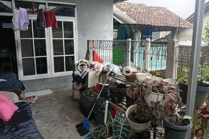 Rumah Sederhana Dijual Lokasi Cijeruk 3 Kamar dengan Luas Tanah 329m2 Rumah Sederhana Dijual Lokasi Cijeruk 3 Kamar dengan Luas Tanah 329m2