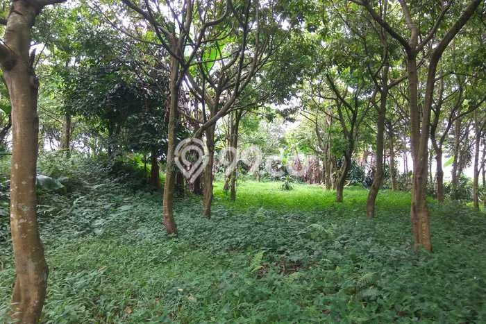 Dijual Tanah 3000m2 di Sentul City, Bogor Dijual Tanah 3000m2 di Sentul City, Bogor