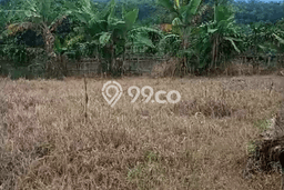Tanah Dijual di Bogor Seluas 2000m2 Strategis Tanah Dijual di Bogor Seluas 2000m2 Strategis