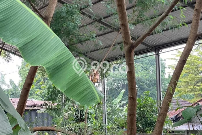 Untuk Dijual Tanah di Tangerang, Luas 745m2 SHM Untuk Dijual Tanah di Tangerang, Luas 745m2 SHM