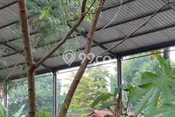 Untuk Dijual Tanah di Tangerang, Luas 745m2 SHM Untuk Dijual Tanah di Tangerang, Luas 745m2 SHM