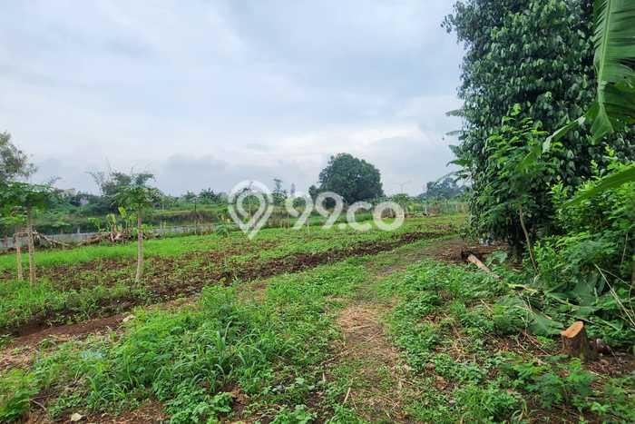 Dijual Tanah Lokasi Depok I, Depok Seluas 11000m2 Dijual Tanah Lokasi Depok I, Depok Seluas 11000m2