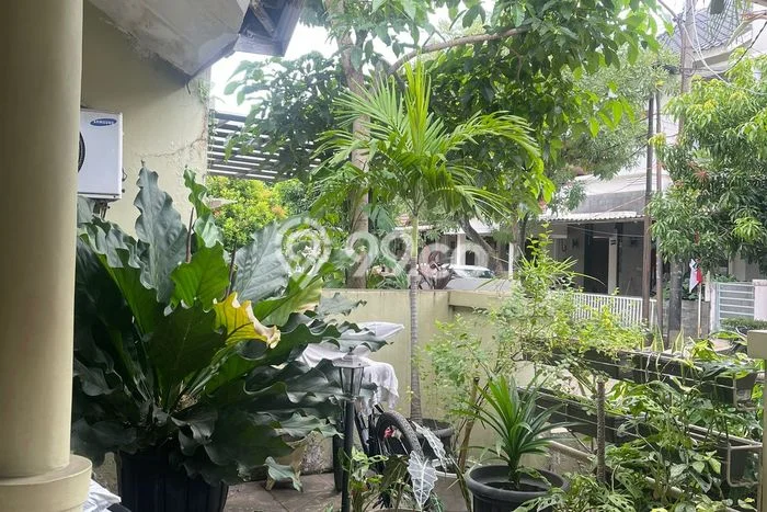 Rumah Luas Asri 3 KT Siap Pakai di Sektor 3A - Bintaro Tangerang Selatan Rumah Luas Asri 3 KT Siap Pakai di Sektor 3A - Bintaro Tangerang Selatan