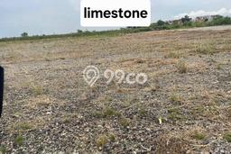 Tanah untuk Disewakan di Benowo Surabaya SHM Tanah untuk Disewakan di Benowo Surabaya SHM