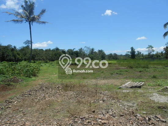 Jarang Ada! Tanah di Rangkasbitung Punya Luas 17570m2 SHM Jarang Ada! Tanah di Rangkasbitung Punya Luas 17570m2 SHM