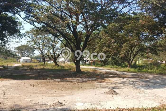 Tanah Lokasi Potensial Kawasan , Luas 2320m2m², Dekat ke Fasilitas, Lingkungan Asri Tanah Lokasi Potensial Kawasan , Luas 2320m2m², Dekat ke Fasilitas, Lingkungan Asri