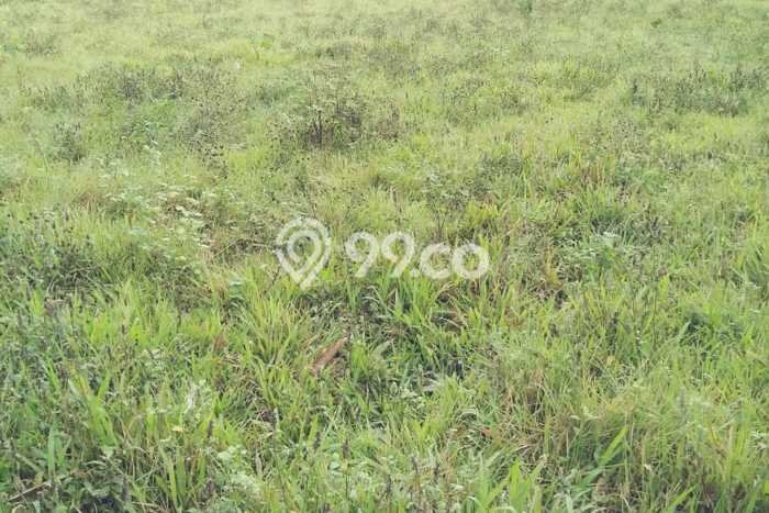 Dijual Tanah di Panongan Tangerang Luas 4500m2 - Dijual Tanah di Panongan Tangerang Luas 4500m2 -