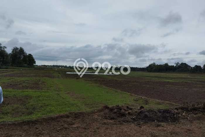 Kavling Tanah Dijual di Pamarayan Serang Spesifikasi 10000m2 Kavling Tanah Dijual di Pamarayan Serang Spesifikasi 10000m2