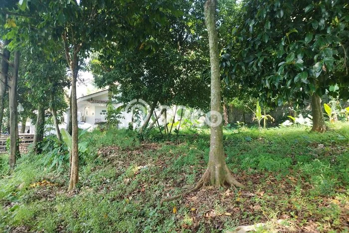 Dijual Tanah di Bogor, Luas 30749m2 SHM Dijual Tanah di Bogor, Luas 30749m2 SHM