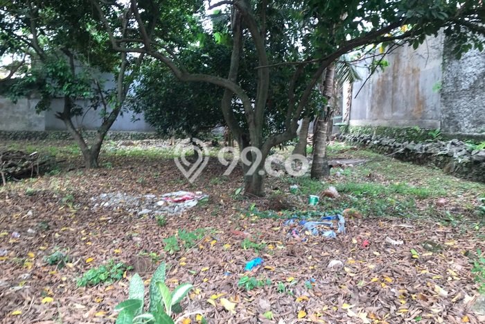 Tanah Kavling Dijual di Depok dengan Spesifikasi 800m2 Tanah Kavling Dijual di Depok dengan Spesifikasi 800m2