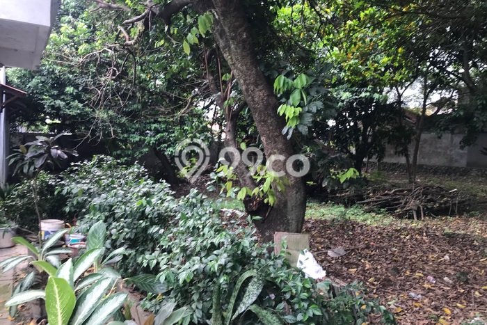 Tanah Kavling Dijual di Depok dengan Spesifikasi 800m2 Tanah Kavling Dijual di Depok dengan Spesifikasi 800m2