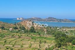 Lahan Kosong Dijual di Lombok Tengah dengan Area 40000m2 Lahan Kosong Dijual di Lombok Tengah dengan Area 40000m2