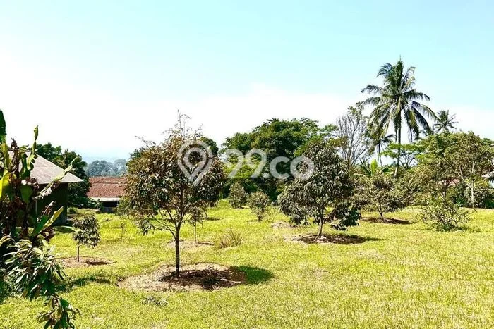 Tanah Komersial Dijual di Cijeruk Bogor 16000m2 Tanah Komersial Dijual di Cijeruk Bogor 16000m2