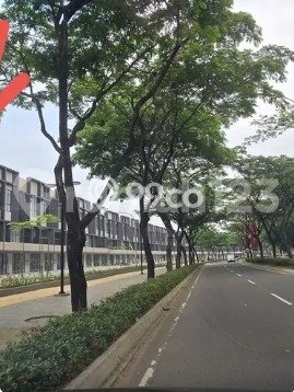 Unit Ruko Disewa Lokasi BSD, Tangerang Selatan Spesifikasi Luas Bangunan 380m2 Unit Ruko Disewa Lokasi BSD, Tangerang Selatan Spesifikasi Luas Bangunan 380m2