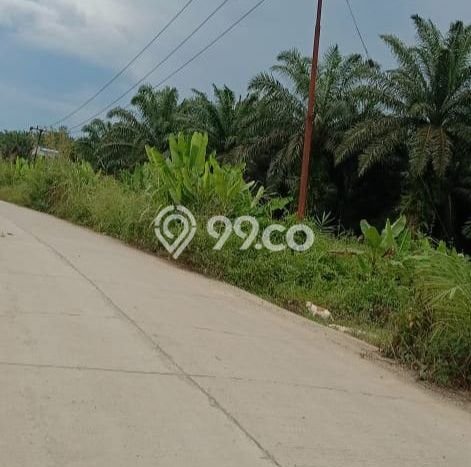 Tanah Kawasan Penajam, Luas 2e+06m², Area Potensial Tanah Kawasan Penajam, Luas 2e+06m², Area Potensial