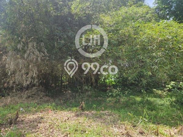 Kavling Tanah di Serang Baru Dijual Luas 606m2 Legalitas SHM Kavling Tanah di Serang Baru Dijual Luas 606m2 Legalitas SHM