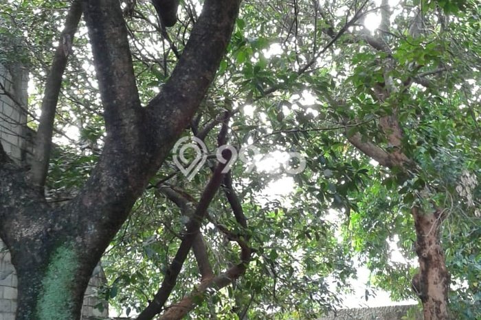 Tanah Dijual Lokasi Strategis di Jakarta Selatan dengan Luas 446m2 Tanah Dijual Lokasi Strategis di Jakarta Selatan dengan Luas 446m2