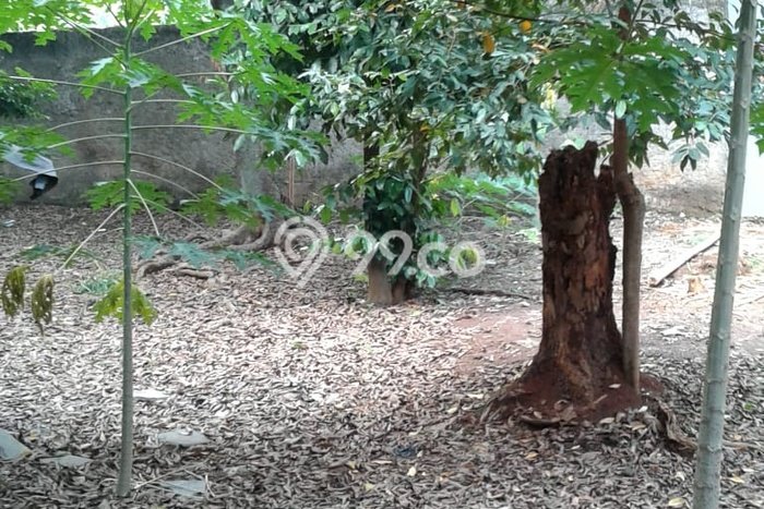 Tanah Dijual Lokasi Strategis di Jakarta Selatan dengan Luas 446m2 Tanah Dijual Lokasi Strategis di Jakarta Selatan dengan Luas 446m2