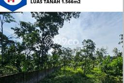 Tanah Kavling di Bandungan Dijual dengan Luas 1566m2 Tanah Kavling di Bandungan Dijual dengan Luas 1566m2