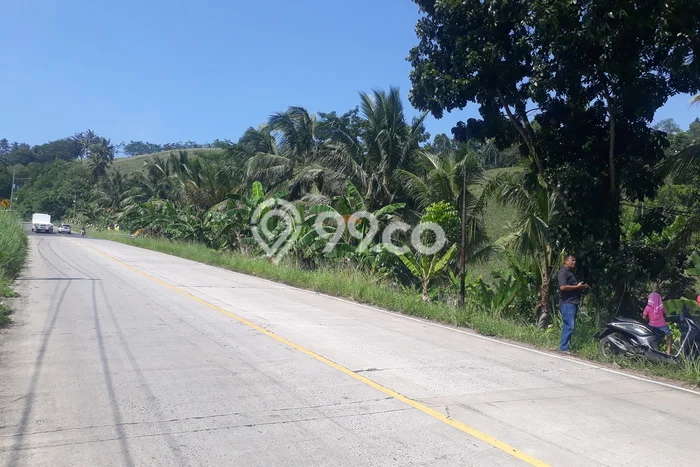 Tanah Kavling untuk Dijual di Bakauheni Lampung Selatan 80000m2 Tanah Kavling untuk Dijual di Bakauheni Lampung Selatan 80000m2