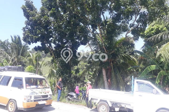 Tanah Kavling untuk Dijual di Bakauheni Lampung Selatan 80000m2 Tanah Kavling untuk Dijual di Bakauheni Lampung Selatan 80000m2