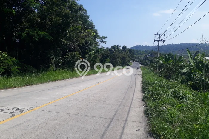 Tanah Kavling untuk Dijual di Bakauheni Lampung Selatan 80000m2 Tanah Kavling untuk Dijual di Bakauheni Lampung Selatan 80000m2