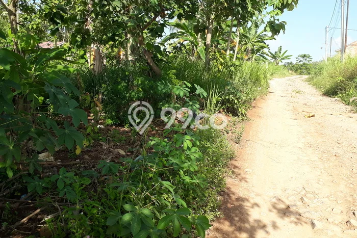 Kavling Tanah Dijual di Bakauheni Lampung Selatan Spesifikasi 80000m2 Kavling Tanah Dijual di Bakauheni Lampung Selatan Spesifikasi 80000m2