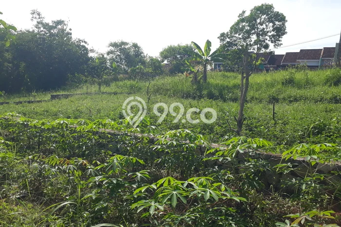 Kavling Tanah Dijual di Bakauheni Lampung Selatan Spesifikasi 80000m2 Kavling Tanah Dijual di Bakauheni Lampung Selatan Spesifikasi 80000m2