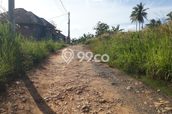 Kavling Tanah Dijual di Tanjung Bintang Lampung Selatan Spesifikasi 52000m2 Kavling Tanah Dijual di Tanjung Bintang Lampung Selatan Spesifikasi 52000m2
