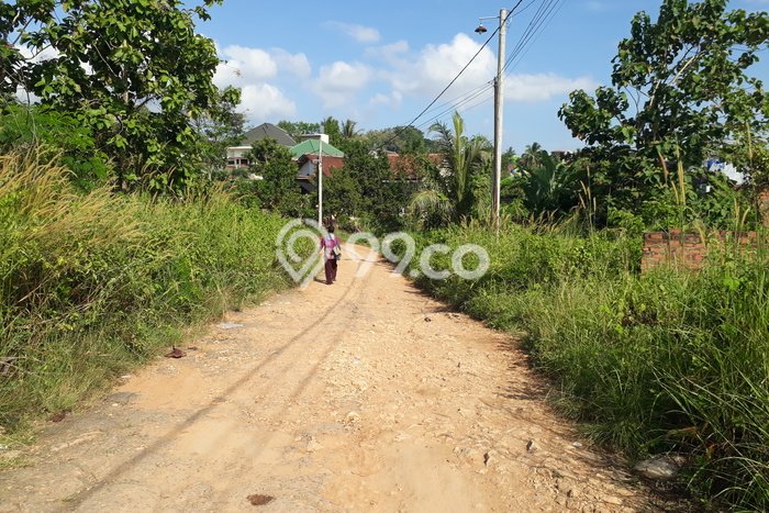 Kavling Tanah Dijual di Tanjung Bintang Lampung Selatan Spesifikasi 52000m2 Kavling Tanah Dijual di Tanjung Bintang Lampung Selatan Spesifikasi 52000m2