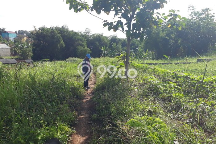 Kavling Tanah Dijual di Tanjung Bintang Lampung Selatan Spesifikasi 52000m2 Kavling Tanah Dijual di Tanjung Bintang Lampung Selatan Spesifikasi 52000m2