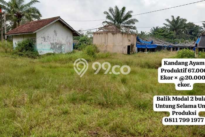 Tanah Kavling untuk Dijual di Merbau Mataram Lampung Selatan 1100m2 Tanah Kavling untuk Dijual di Merbau Mataram Lampung Selatan 1100m2
