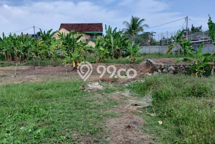 Tanah Dijual Lokasi Kedamaian, Bandar Lampung Luas 40m2 Legalitas Aman Tanah Dijual Lokasi Kedamaian, Bandar Lampung Luas 40m2 Legalitas Aman